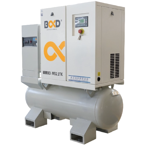 PILLAR 2 - WS TK SERIES - SCROLL_BS REMOVE_LOSSY